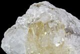 Quartz Crystal Cluster - Brazil #81011-5